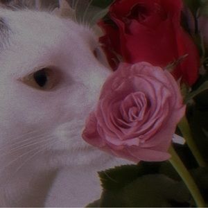 Meet your Posher, Mimi